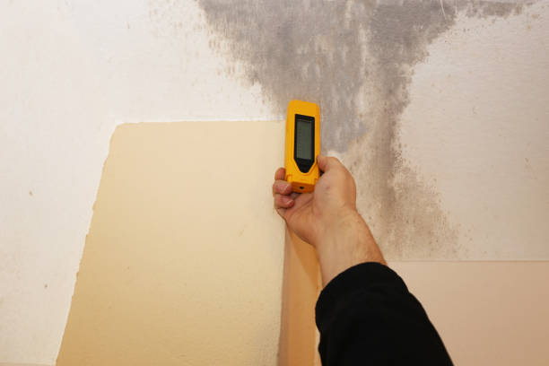 Best Mold-Related Health Consultation  in West Columbia, SC