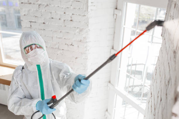  West Columbia, SC Mold Removal Pros
