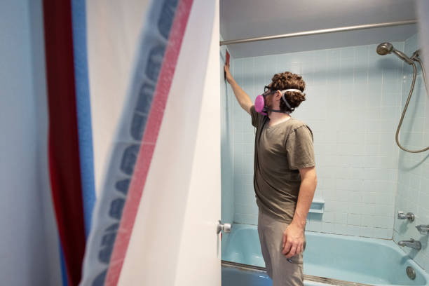 Dehumidification Services in West Columbia, SC