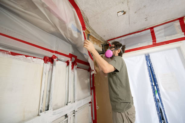 Mold Remediation for Rental Properties in West Columbia, SC